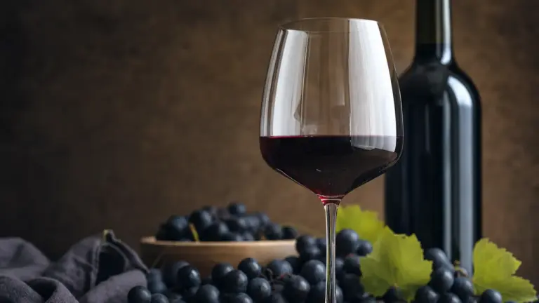 Verre de vin rouge tannique en dégustation